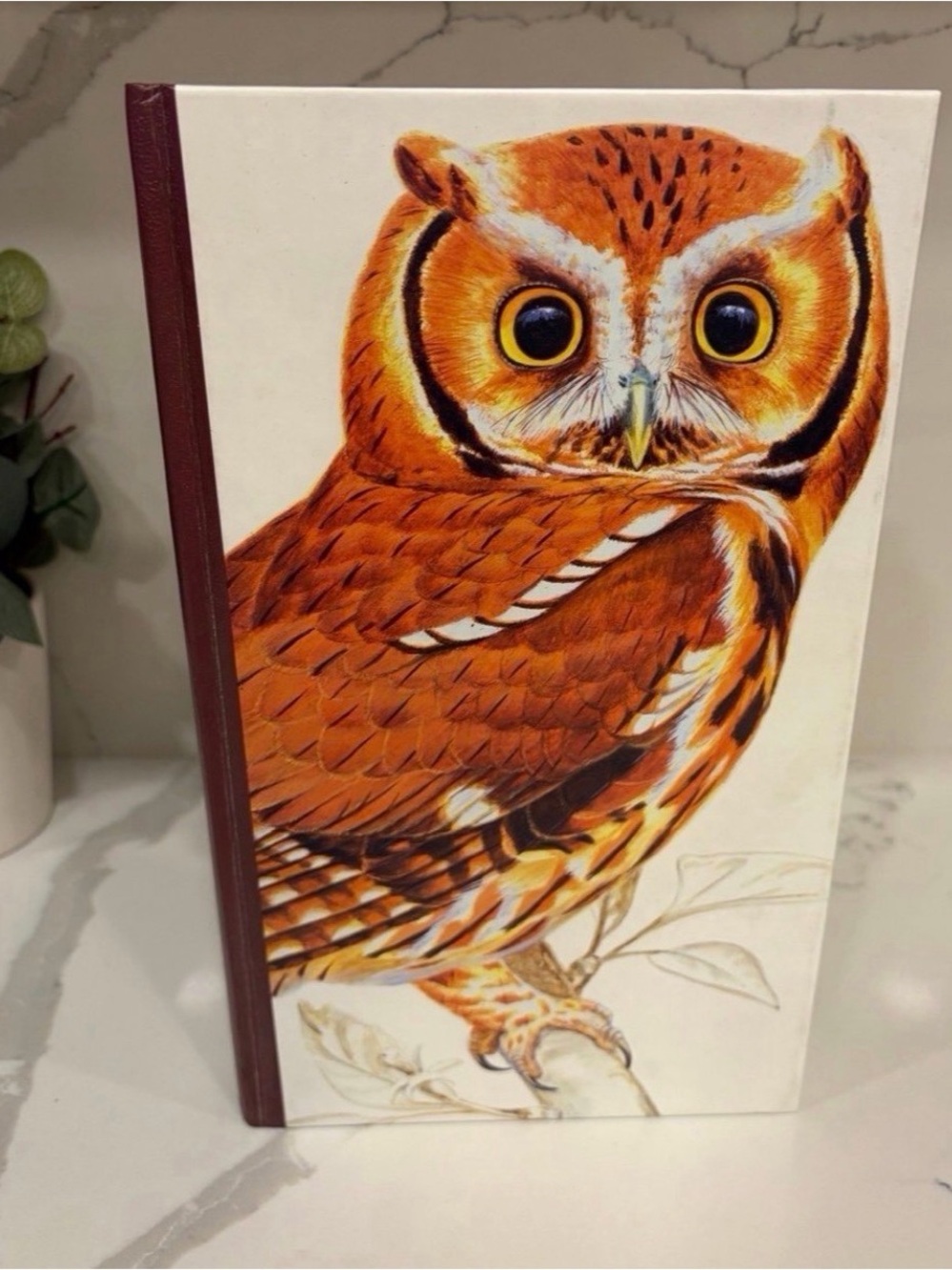 Vintage 1990 Book of North American Birds Hardcover Owl Coffee Table Decor